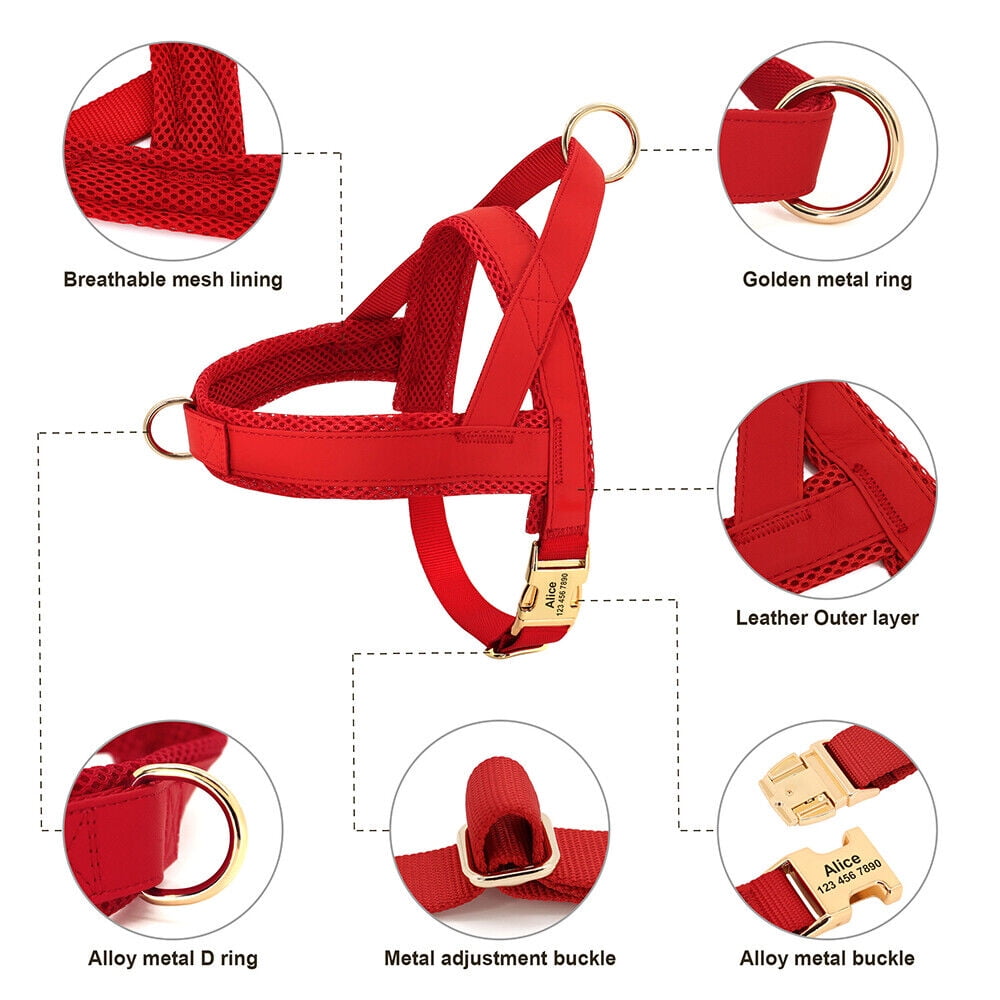 Didog No Pull Dog Harness Personalized Name Buckle Engraved Breathable Mesh Red Blue