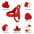 thumbnail image 2 of Didog No Pull Dog Harness Personalized Name Buckle Engraved Breathable Mesh Red Blue, 2 of 11