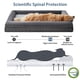 thumbnail image 4 of WNPETHOME Camas para perros lavables de tamaño grande, cama para perros XXXL, sofá cama ortopédico para perros con funda extraíble e impermeable, cama para perros extra grande con laterales reforzados, 4 of 5
