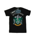 thumbnail image 1 of Harry Potter Mens Slytherin Crest T-Shirt, 1 of 5