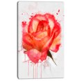 thumbnail image 2 of Red Rose Hand drawn with Splashes - Floral Canvas Art Print, 2 of 4