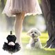 thumbnail image 3 of Falda de princesa pequeña con burbujas para bodas de verano, talla M, vestido de perro con lentejuelas negras, 3 of 5
