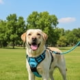 thumbnail image 2 of Nallwabiu No Pull Dog Harness Adjustable Vest with a Training Handle, Pocket, Easy to Put on & Take Off, With dog leash, 2 of 7