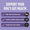 thumbnail image 6 of Purina Pro Plan Veterinary Supplements FortiFlora Dog Probiotic Supplement, Canine Nutritional Supplement, 1.06 oz., 6 of 12