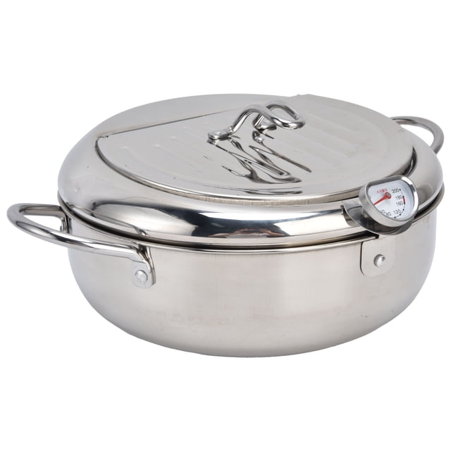 Friteuse de Cuisson Mini en Acier Inoxydable à Température Contrôlable pour Cuisine