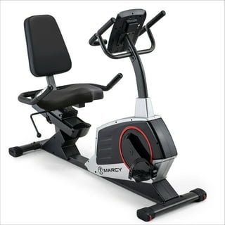 Edge 491 Recumbent Bike