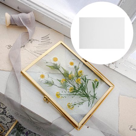 FRCOLOR  Blotting Flower Press Pressed Flowers Bulk Dried Baby White