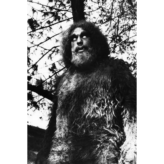 The Six Million Dollar Man Andre the Giant as Bigfoot from 1976 episode 24x36 Poster