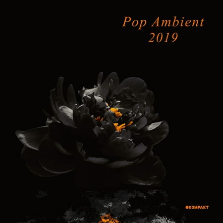 Pop Ambient 2019 (Various Artists) (Vinyl)