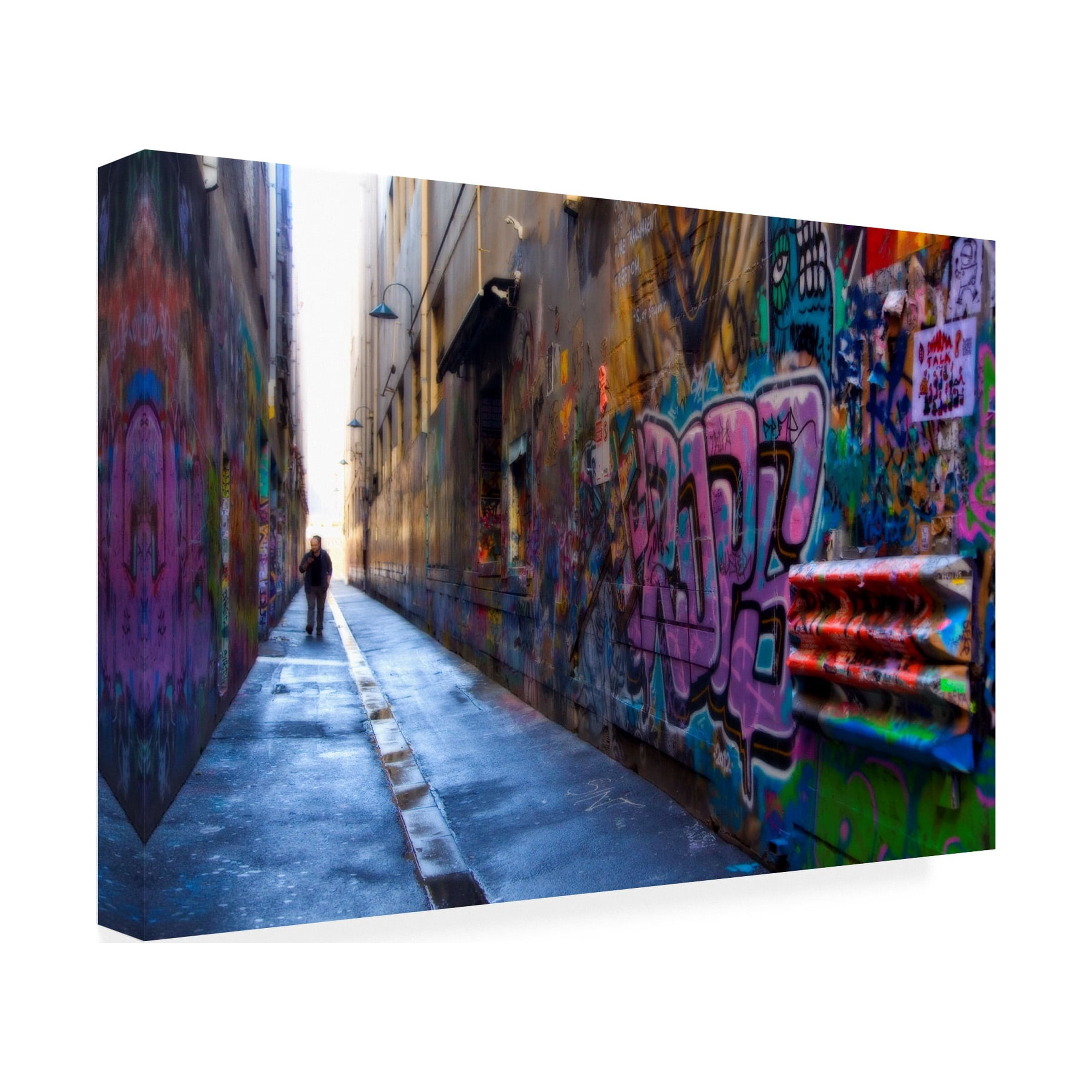Wayne Bradbury Photography 'Union Lane' Canvas Art
