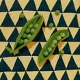 thumbnail image 2 of Scarvey, Emma 12x12 White Modern Wood Framed Museum Art Print Titled - Geo Veggies IV, 2 of 4
