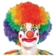 thumbnail image 1 of Peluca de payaso arcoíris, peluca colorida de payaso Hippie, peluca loca para fanáticos del fútbol, ​​peluca Afro rizada esponjosa para hombres y mujeres, discoteca de los años 70 y 80, 1 of 5