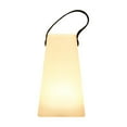 thumbnail image 3 of Hearth & Gear Portable Camping Light With Color Changing Feature For Lighting Ideal For Indoor And Outdoor Use Rechargeable Type C Design For Long Lasting Performance Winter Camp Gear Camping Battery, 3 of 6