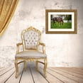 thumbnail image 3 of Galloimages Online 18x13 Gold Ornate Wood Framed with Double Matting Museum Art Print Titled - Mare And Foal Together, 3 of 4