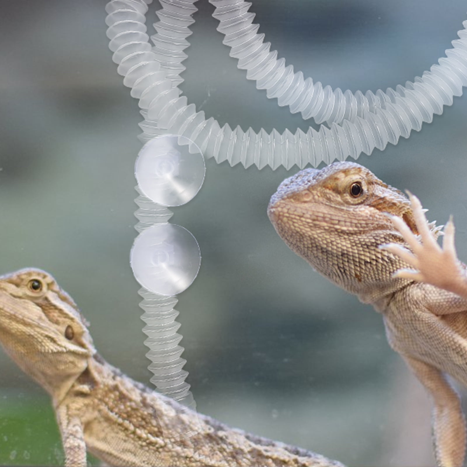 Humidifier for bearded dragon hotsell