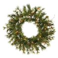 thumbnail image 1 of Vickerman Unlit Flocked Alaskan Artificial Wreath with 35 Clear Lights, 20", 1 of 4