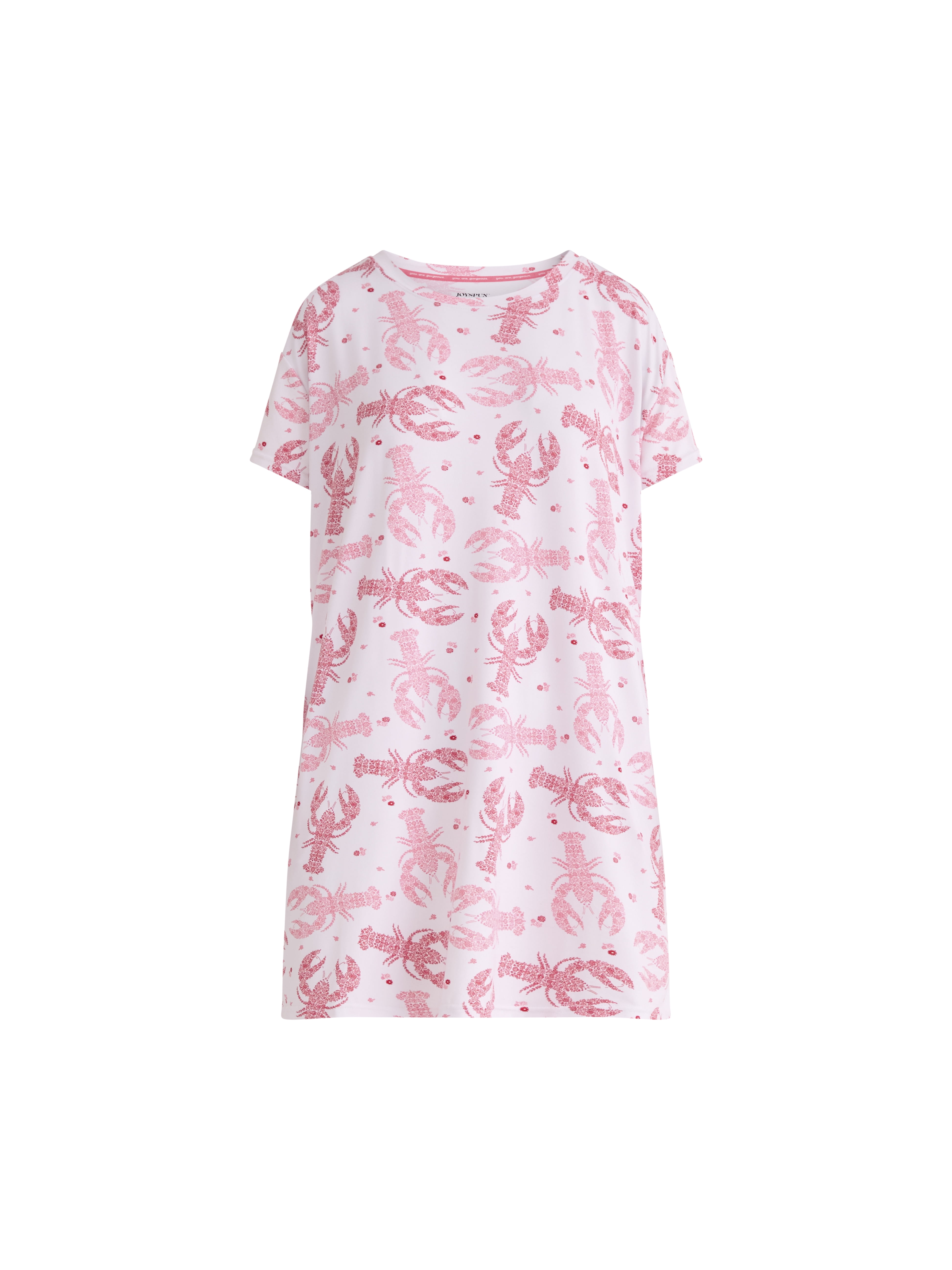 Joyspun Women's Dreamy Soft Collection Sleepshirt with Short Sleeves, Sizes S/M-2X/3X