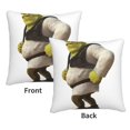 thumbnail image 3 of Fundas de almohada de terciopelo Shrek, fundas de almohada decorativas suaves y acogedoras con cremallera oculta para dormitorio, sofá, sillón, funda de almohada de terciopelo, 3 of 8