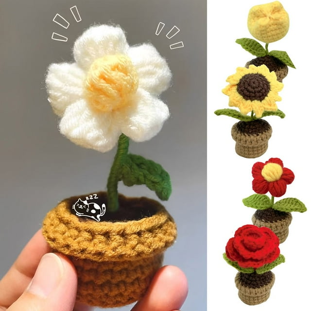 POINTERTECK 6pcs Crochet Potted Plants for Beginners Complete Crochet Flower Pot Kit Colorful Potted Plants Craft Kit Portable Delicate Flower Crochet Kit for DIY Gift Home Decoration