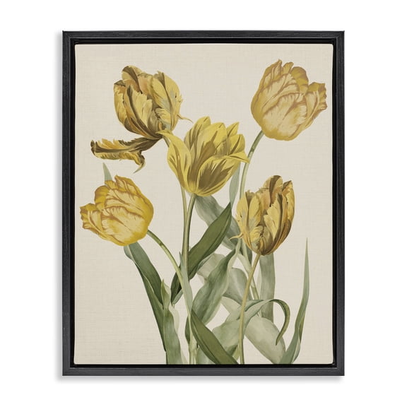 Stupell Industries French Country Antique Yellow Tulips Black Floating Frame Canvas Art, 17 x 21, by Lil' Rue