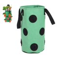 thumbnail image 3 of Bolsa Para Plantar Fresas, Plegable Y Reutilizable Con Asas, Bolsa De Fieltro Portátil Con 12 Agujeros Para Jardín, Cultivar Fresas, Flores, árboles Jóvenes,, 3 of 7