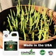 thumbnail image 5 of Luxuriate Seed Starter, 5 of 8