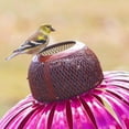 thumbnail image 3 of Bird Feeder, Flower Pole Bird Feeder Bright Color  for Garden, 3 of 6