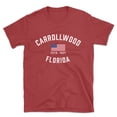 thumbnail image 1 of Carrollwood Florida Patriot Men's Cotton T-Shirt, 1 of 1