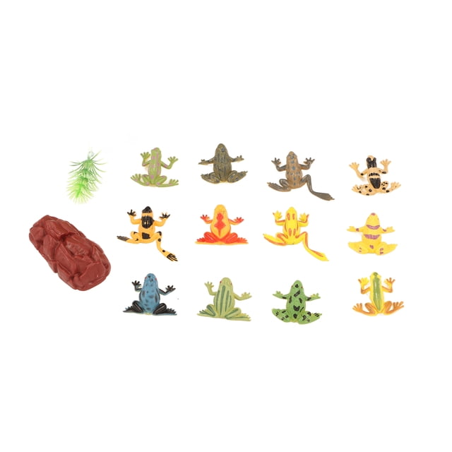 Nimomo Ranas Modelo 12 Piezas PVC Ranas Modelo Anfibio enseñanza Juguete Ornamento Conjunto con Hierba Falsa y Piedra
