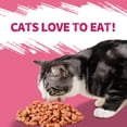 thumbnail image 4 of Golosinas para gatos Just Try Urinary Tract Health, 400 ml, arándanos y salmón, 4 of 9
