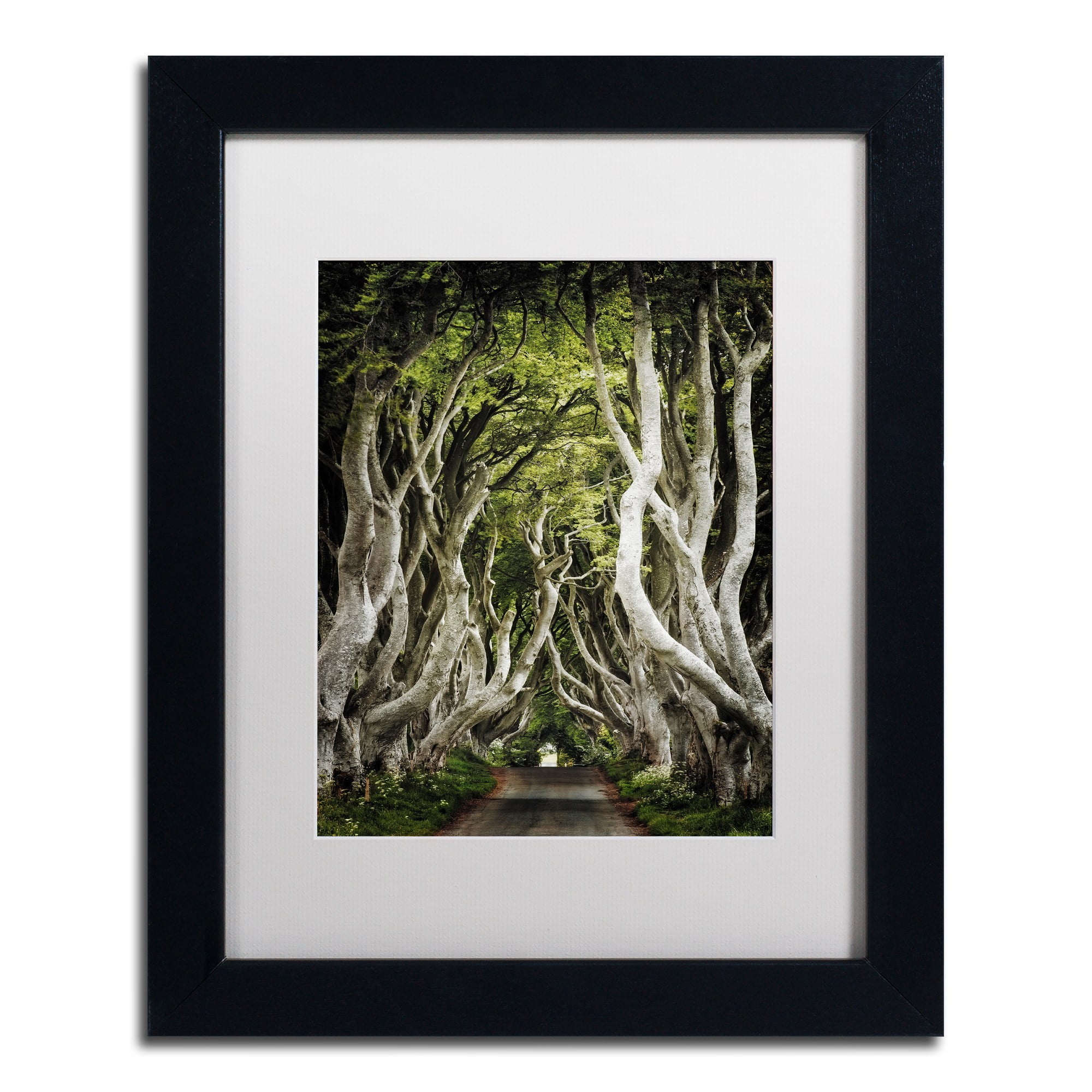 Trademark Fine Art "Romantic Avenue" Canvas Art by Philippe Sainte-Laudy, White Matte, Black Frame