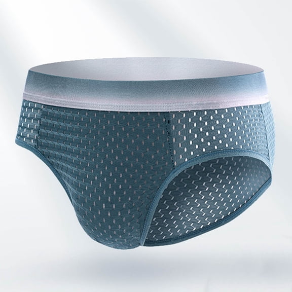 Yaoyar Mens Ice Silk Mesh Summer Briefs Anti Bacterial Underwear Quick Dry Breathable Home Fabric for Casual Comfort Briefs,Blue,XL