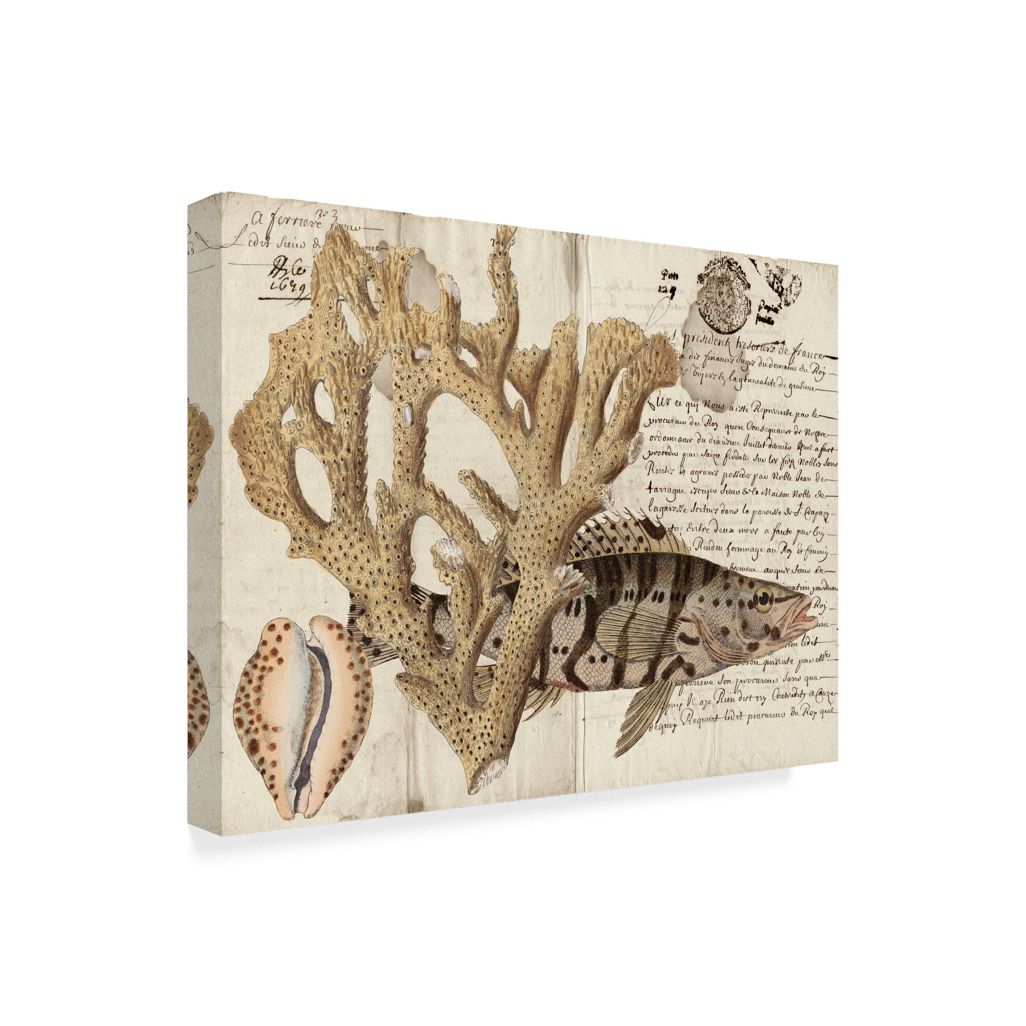 Trademark Fine Art 'Sea life Journal II' Canvas Art by Vision Studio