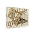 thumbnail image 2 of Trademark Fine Art 'Sea life Journal II' Canvas Art by Vision Studio, 2 of 4
