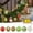 12Pcs(2.4inch), variant on Tarmeek 24Pcs Christmas Ball Painted Ornaments for Xmas Tree, Plastic 1.2 Inch Shatterproof Christmas Tree Decorations Hanging Small Christmas Ball for Holiday Wedding Party Decoration