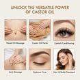 thumbnail image 3 of Majestic Pure USDA Organic Castor Oil | Hexane Free & 100% Pure | Cold Pressed | Stimulate Growth for Hair, Eyelashes, Eyebrows, Nails | Moisturizing & Nourishing | Body, Hair & Carrier Oil | 8 Fl Oz, 3 of 9