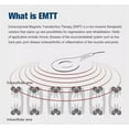 thumbnail image 3 of EMTT In vitro magnetotransduction PEMF, 3 of 5