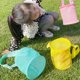 thumbnail image 5 of EeaseMX 4 bolsas de malla para playa para niños, con cremallera, para recoger conchas y juguetes de playa., 5 of 8
