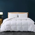 thumbnail image 1 of Cozynight Couette Alternative au Duvet - Toutes Saisons, Simple TG, Insert de Couette avec Languettes d'Angle - Respirant - Couette Réversible à Caissons, Blanche, 68 X 90 Pouces, 1 of 4