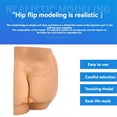thumbnail image 2 of Human Hip Joint Intramuscular Simulator Anatomical Model, Buttocks Care Puncture, Medical, 2 of 5