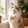thumbnail image 6 of AuroraX Silvervine Cat Chew Wand Natural Sisal Rope Cat Wand Durable Non-Toxic Teeth Cleaning Long Lasting Interactive Cat Toy for Boredom Relief Brown, 6 of 6
