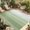 Sage Green, variant on Indoor Outdoor Area Rugs,Marine Starfish Shell Coral on White Washable Patio Rug Non-slip Quick Dry Camping Rugs,Abstract Ocean Life on White Floor Carpet for Porch Deck Backyard RV Decor,4x6ft