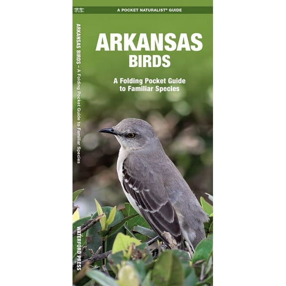Wildlife and Nature Identification: Arkansas Birds : A Folding Pocket Guide to Familiar Species (Other)