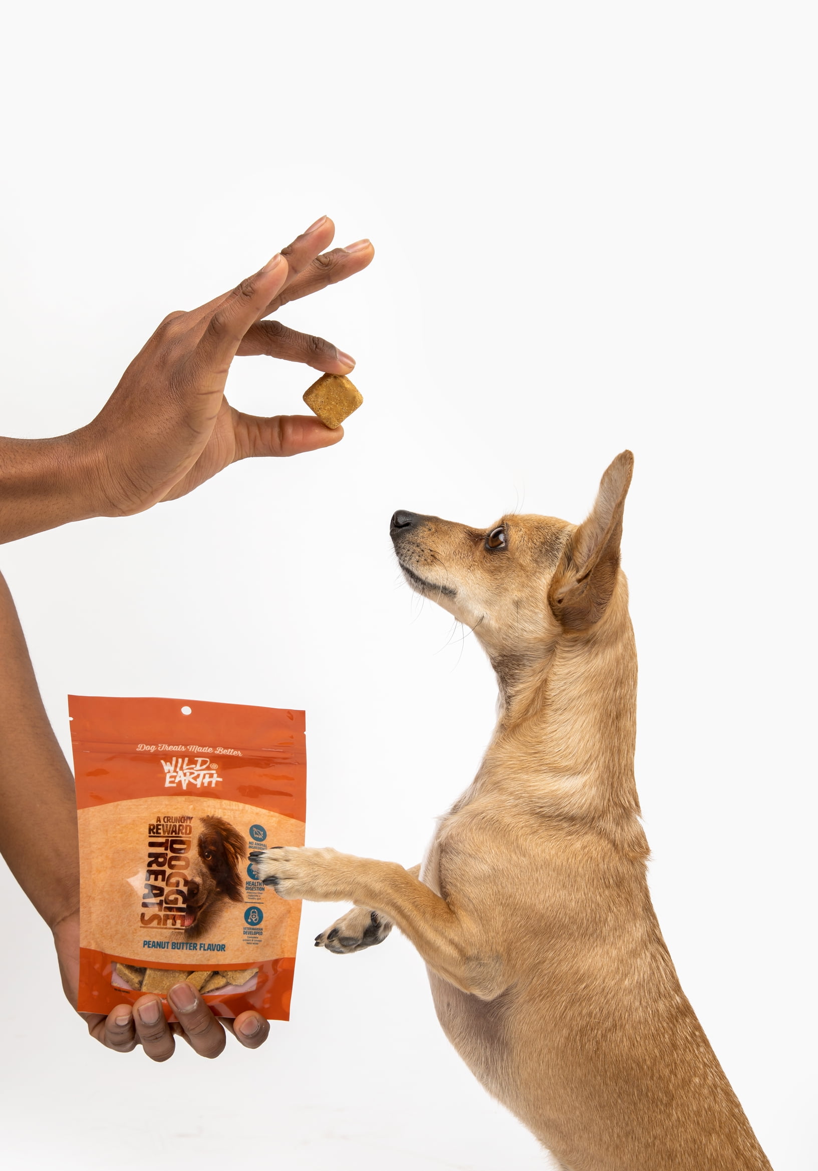 Buy Wild Earth Vegan Dog Treats, Plant Based, VeterinarianDeveloped