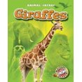 thumbnail image 1 of Giraffes, 1 of 1