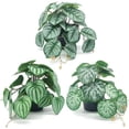 thumbnail image 3 of Bewildely Plantas De Terrario Tropical De Plástico - Frescura Y Elegancia Para El Hogar Plantas Decoraciones Artificiales Hoja De Pavo Real Type3 NO3, 3 of 6