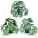 thumbnail image 4 of Injueey Plantas artificiales vibrantes para terrarios - Ilumina el espacio habitable Plantas de jardín Balcón artificial Hoja de raíz de Type3 NO3, 4 of 6