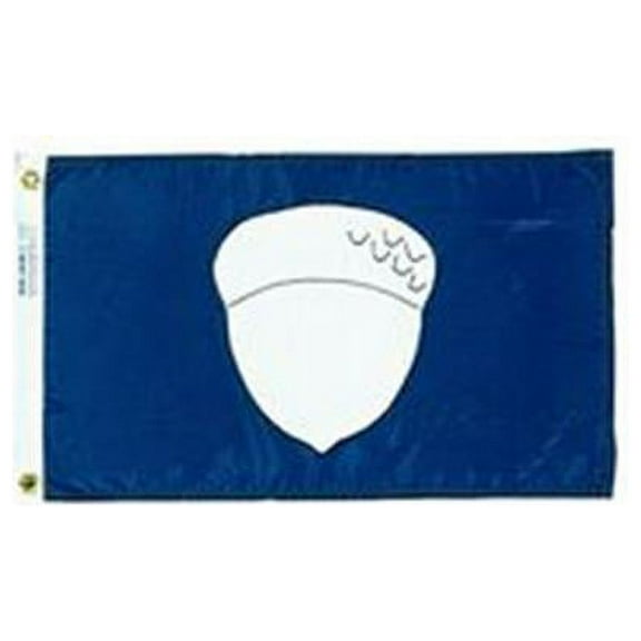 annin flagmakers 251950we nyl-glo treasurer flag-12 in. x 18 in.