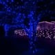 thumbnail image 3 of Cadena de luces Uptotop de 6,1 m, 100 LED azules, enchufable a prueba de agua, 3 of 7