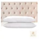 thumbnail image 5 of Pack de 2 Almohadas King Size de Microfibra Firme | Descanso Ergonómico | Soft Nature, 5 of 5
